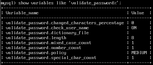 image-20240228221400537