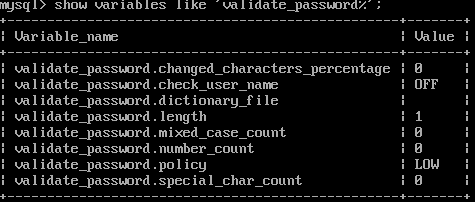 image-20240228235020885