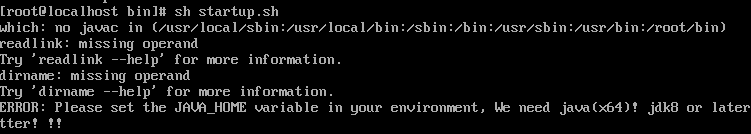 image-20240229223608982